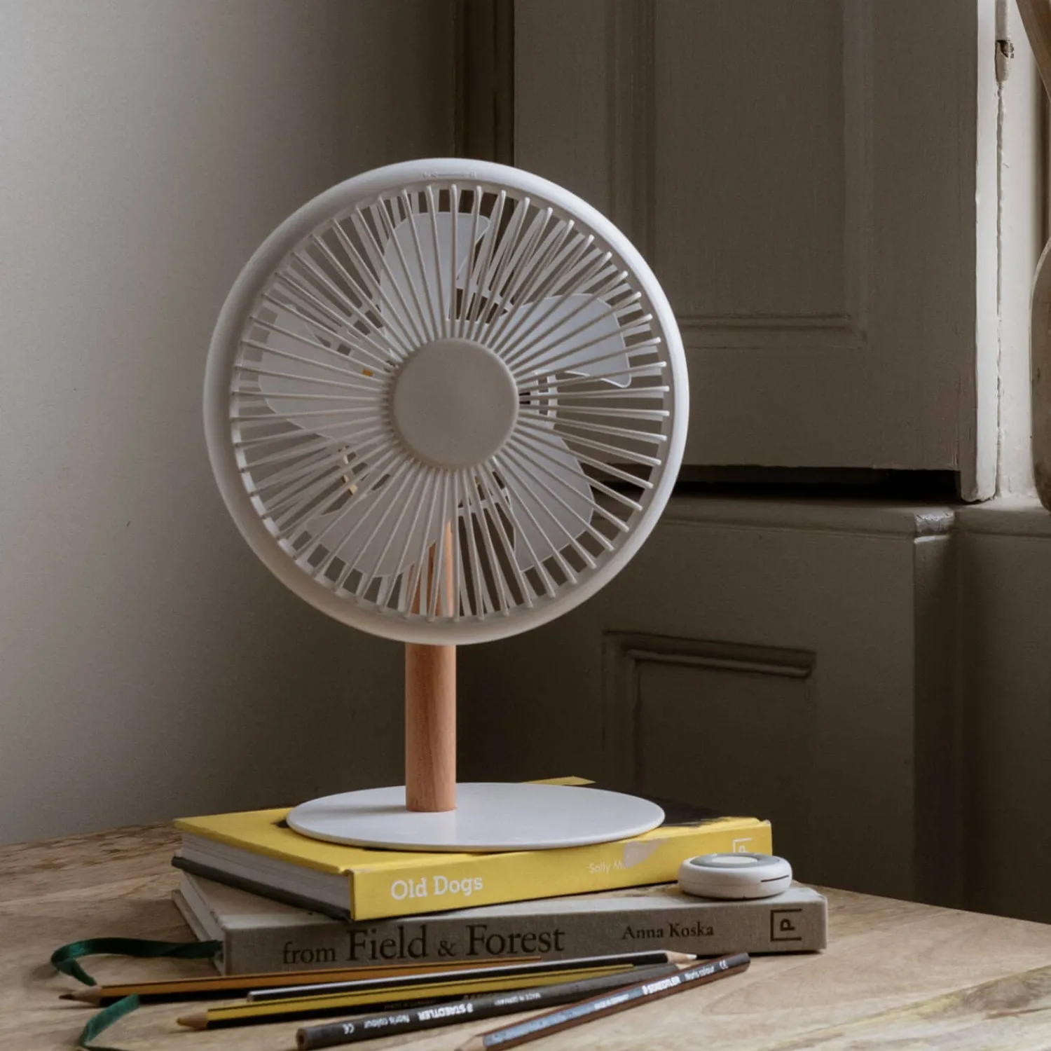Graham & Green Portable Desk Fans with Lights