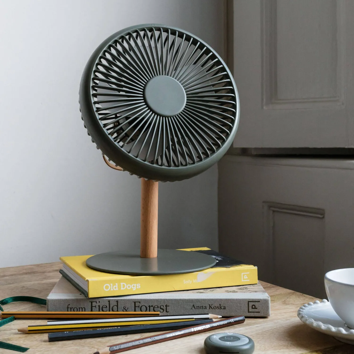 Graham & Green Portable Desk Fans with Lights