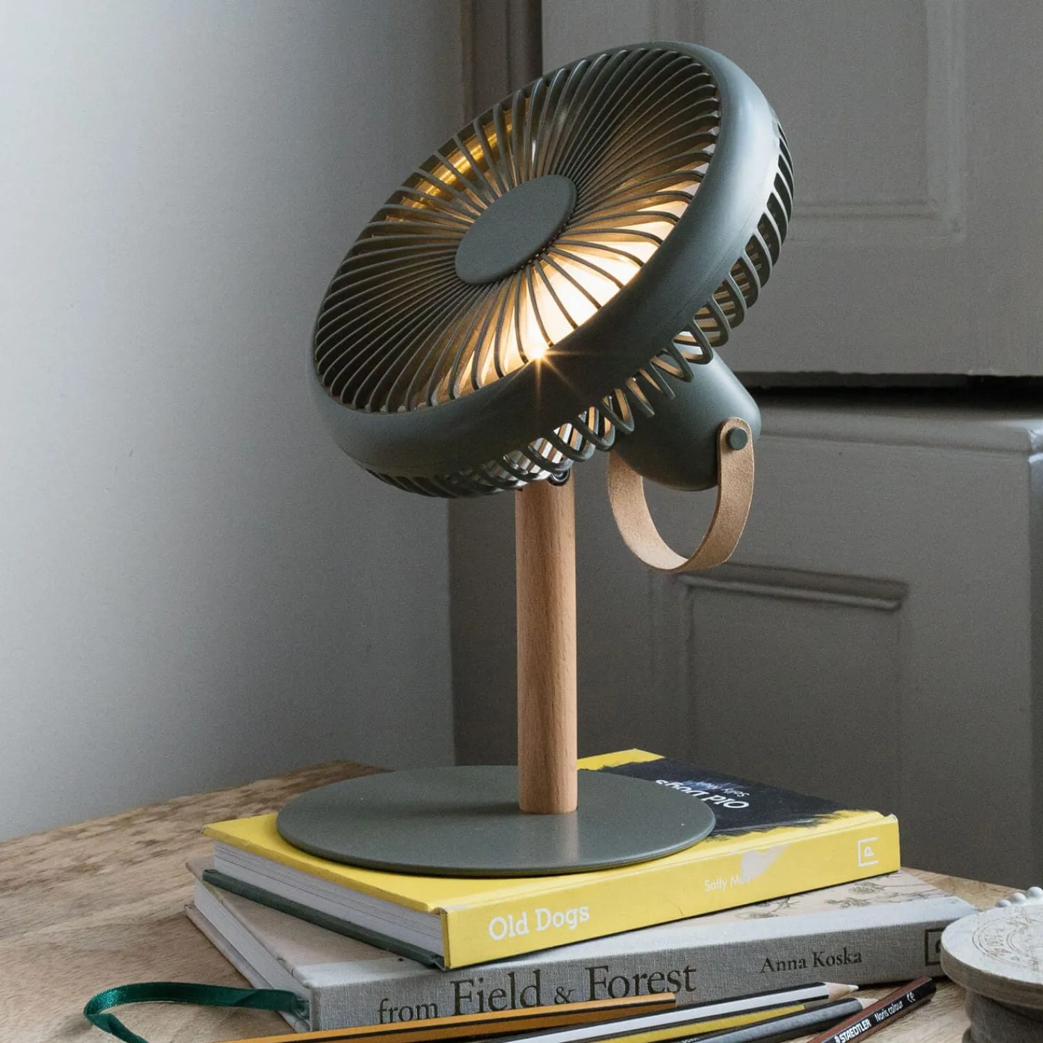 Graham & Green Portable Desk Fans with Lights