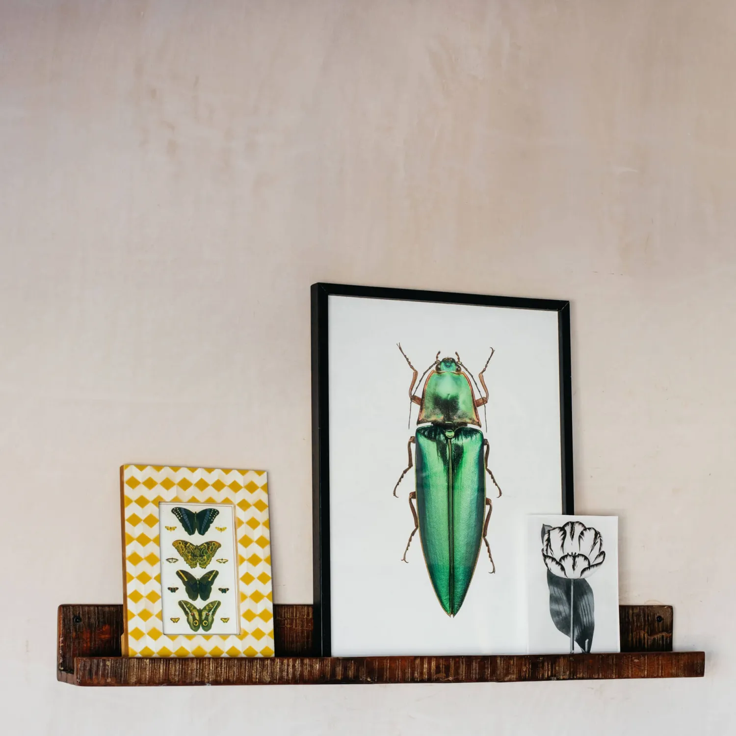 Graham & Green Recycled Wood Photo Shelf