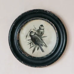 Graham & Green Round Framed Bird Prints