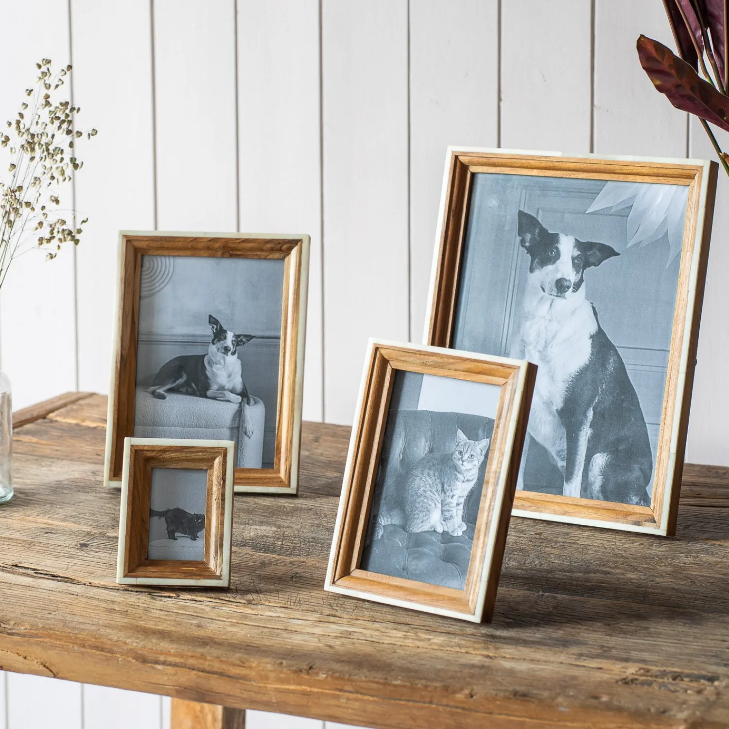 Graham & Green Sagwaan Wood and Bone Photo Frames