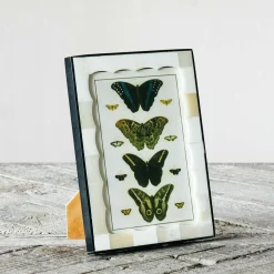 Graham & Green Scalloped Bone and Horn Frame