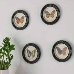 Graham & Green Set of Four Butterfly Prints