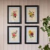 Graham & Green Set of Four Framed Vintage Flower Prints