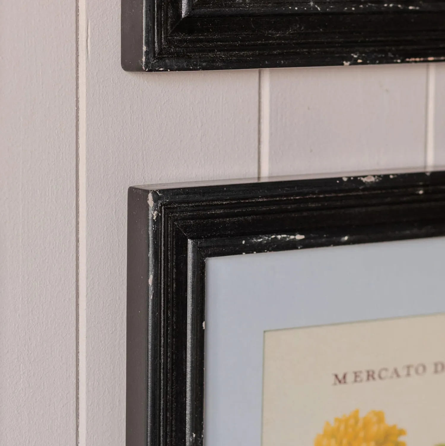 Graham & Green Set of Four Framed Vintage Flower Prints