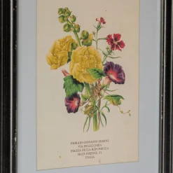 Graham & Green Set of Four Framed Vintage Flower Prints