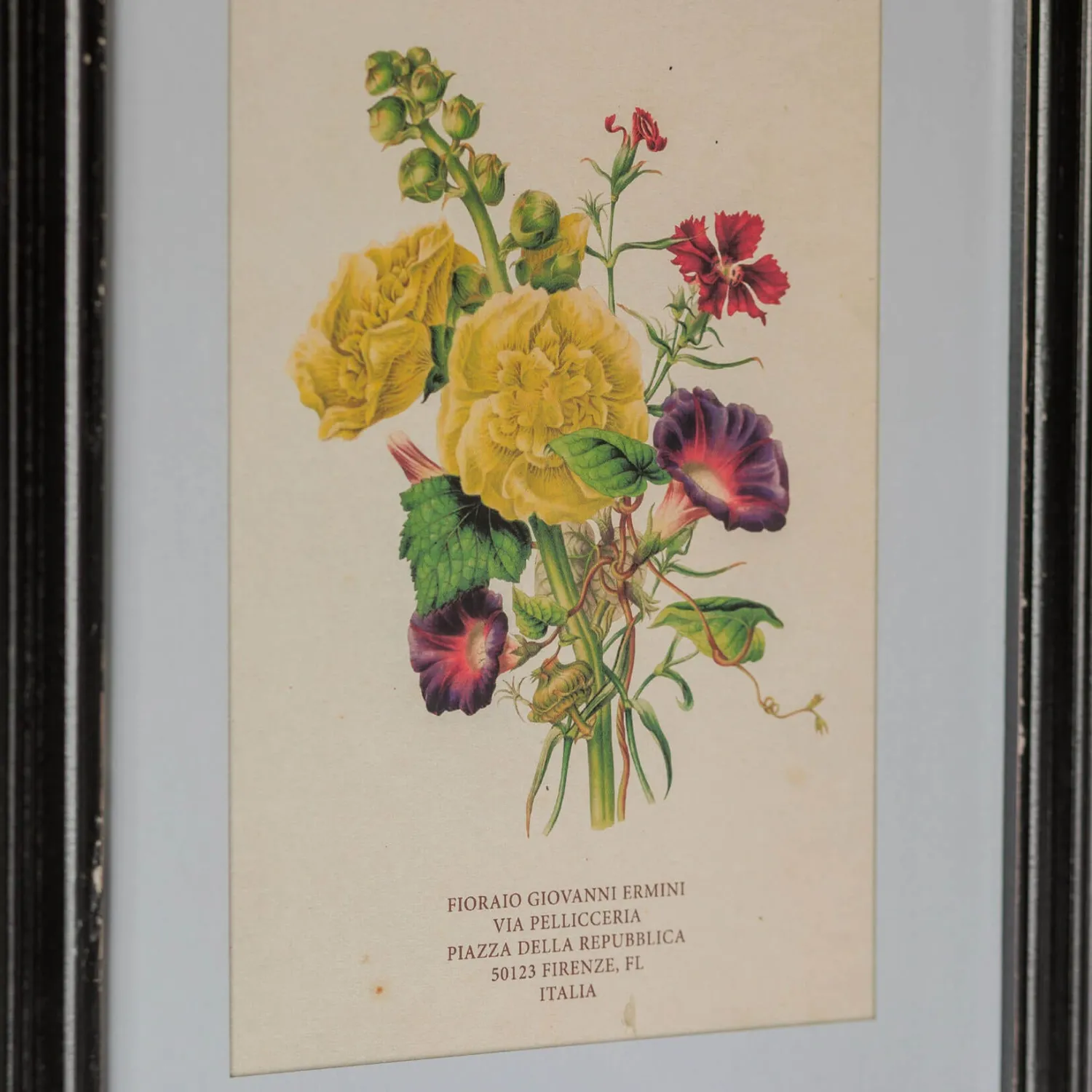 Graham & Green Set of Four Framed Vintage Flower Prints