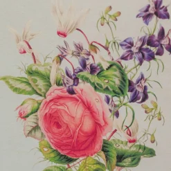 Graham & Green Set of Four Framed Vintage Flower Prints