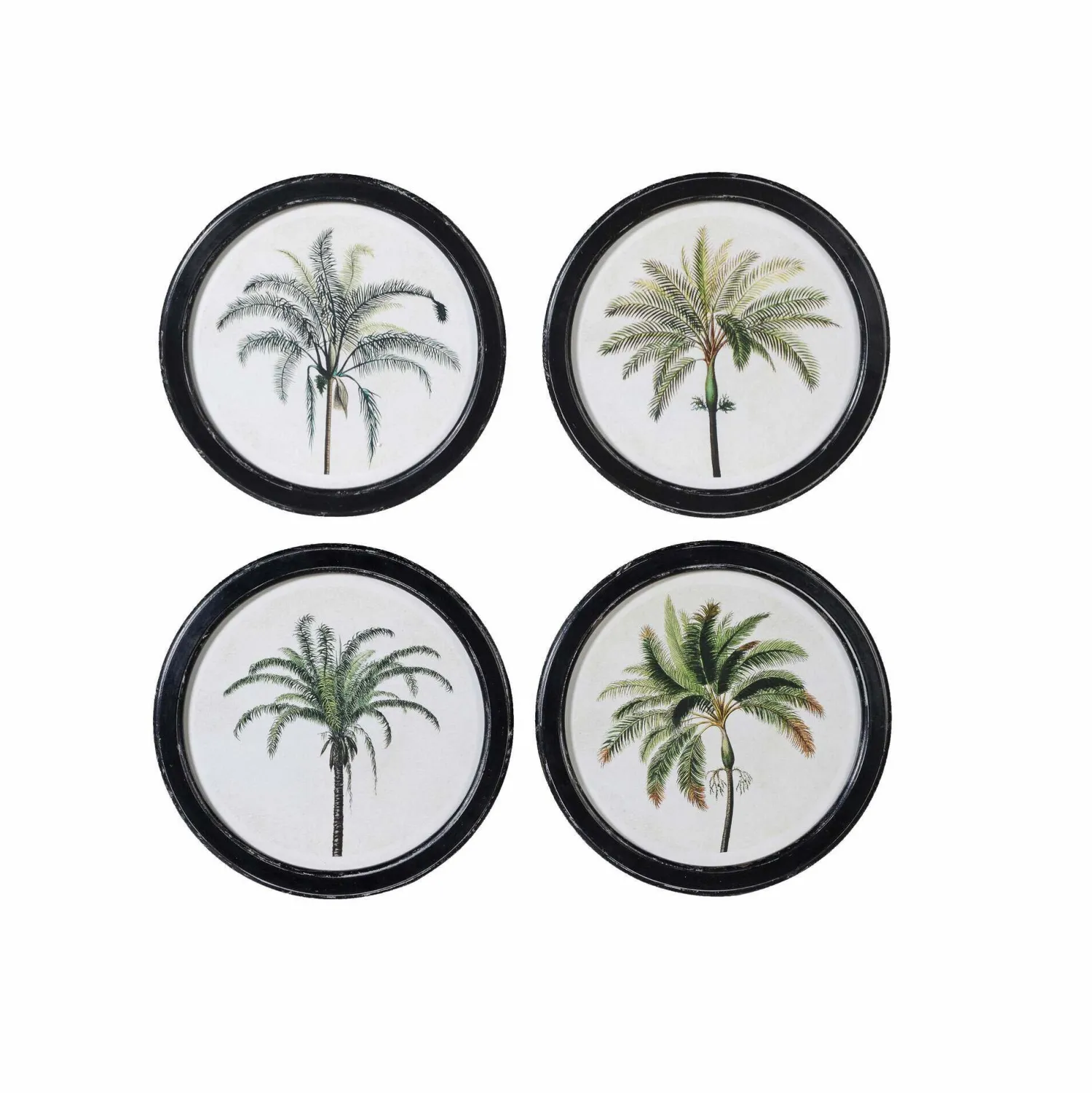 Graham & Green Set of Four Round Framed Palm Prints