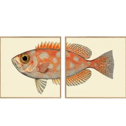 Graham & Green Set of Two Blotched Bigeye Print with Oak Frames