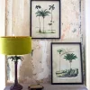 Graham & Green Set of Two Framed Palm Tree Prints