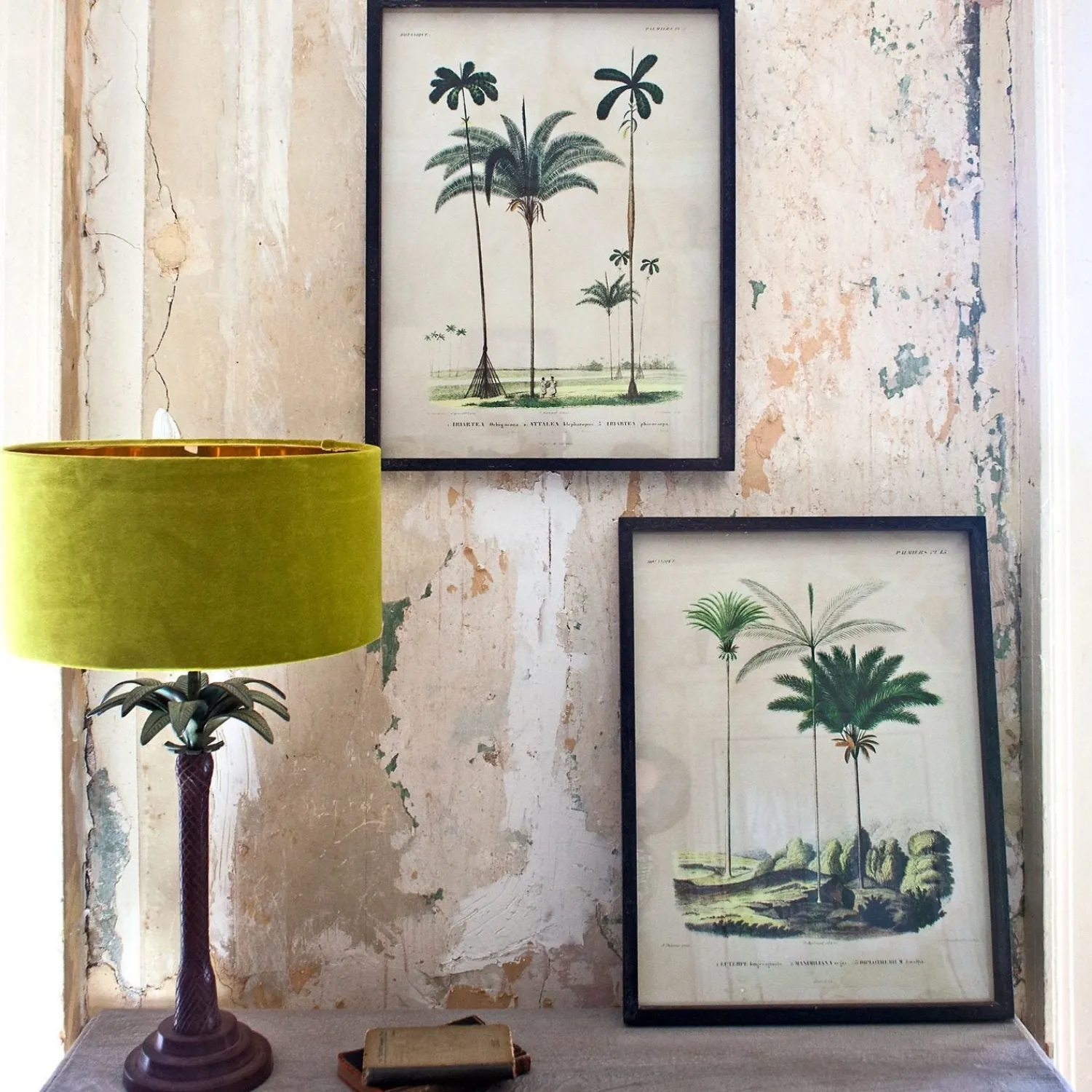 Graham & Green Set of Two Framed Palm Tree Prints