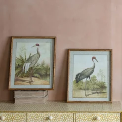 Graham & Green Set of Two Stork Prints