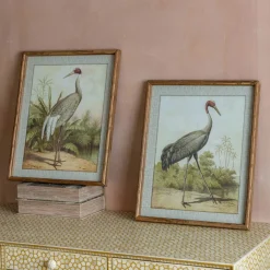 Graham & Green Set of Two Stork Prints