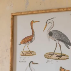 Graham & Green Set of Two Wading Birds Wall Art