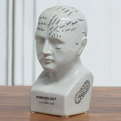 Graham & Green Small Ceramic Phrenology Head