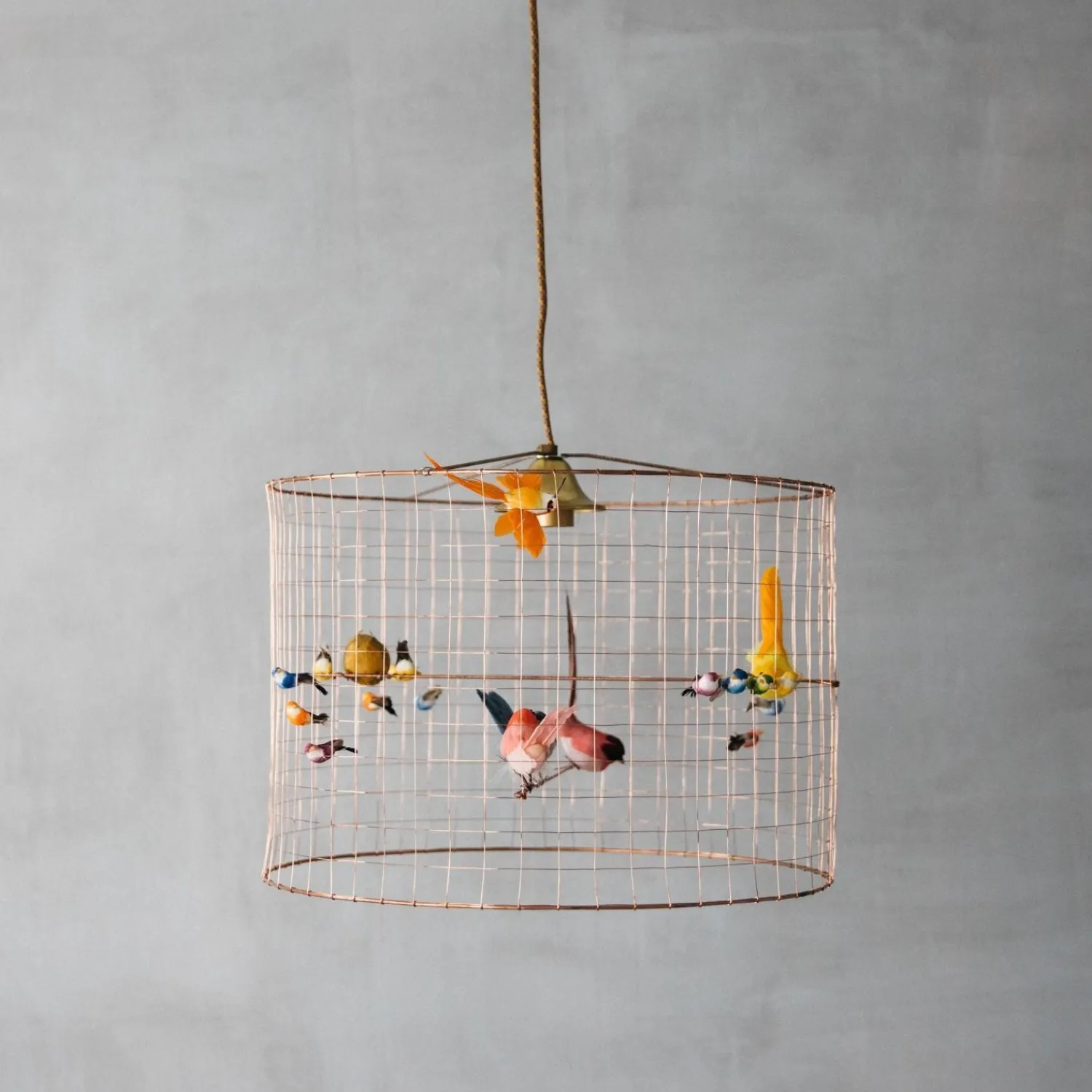 Graham & Green Small Voliéres Bird Cage Pendant