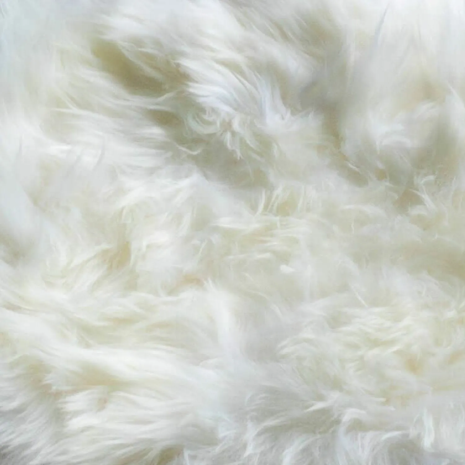 Graham & Green Square Sheepskin Seat Pads