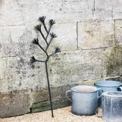 Graham & Green Starburst Branch Light