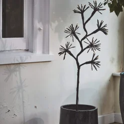 Graham & Green Starburst Branch Light
