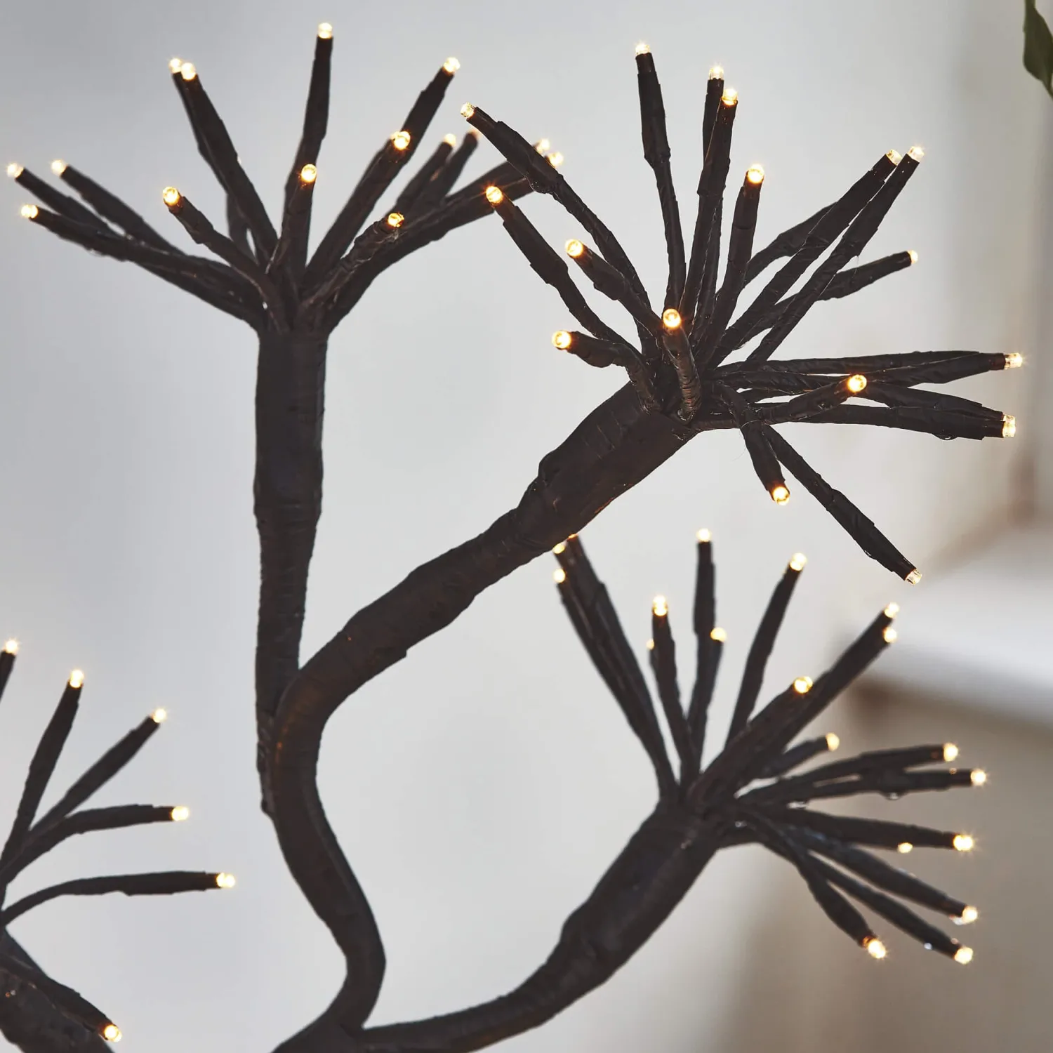 Graham & Green Starburst Branch Light