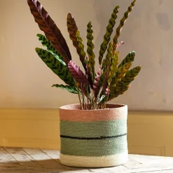 Graham & Green Striped Rust and Green Basket