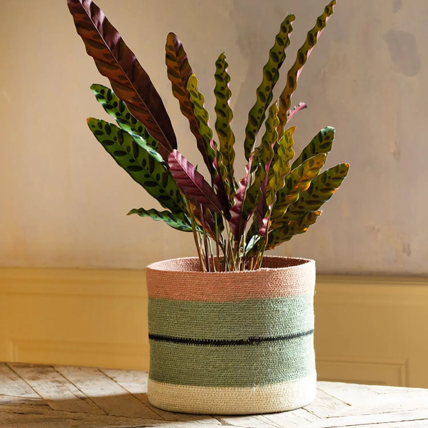 Graham & Green Striped Rust and Green Basket
