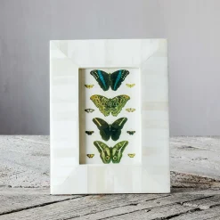 Graham & Green Tapered White Bone Frame