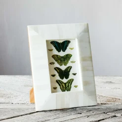 Graham & Green Tapered White Bone Frame