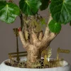 Graham & Green Tiny Bike Plant Decoration