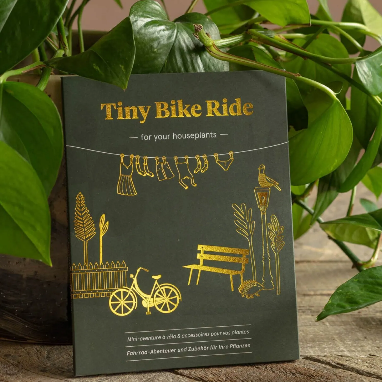 Graham & Green Tiny Bike Plant Decoration