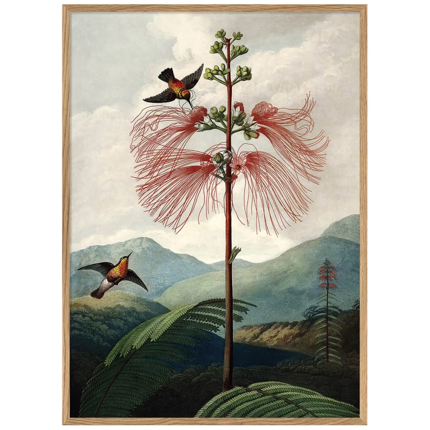 Graham & Green Tree of Flowers Print with Oak Frame