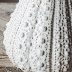 Graham & Green Urchin Jugs