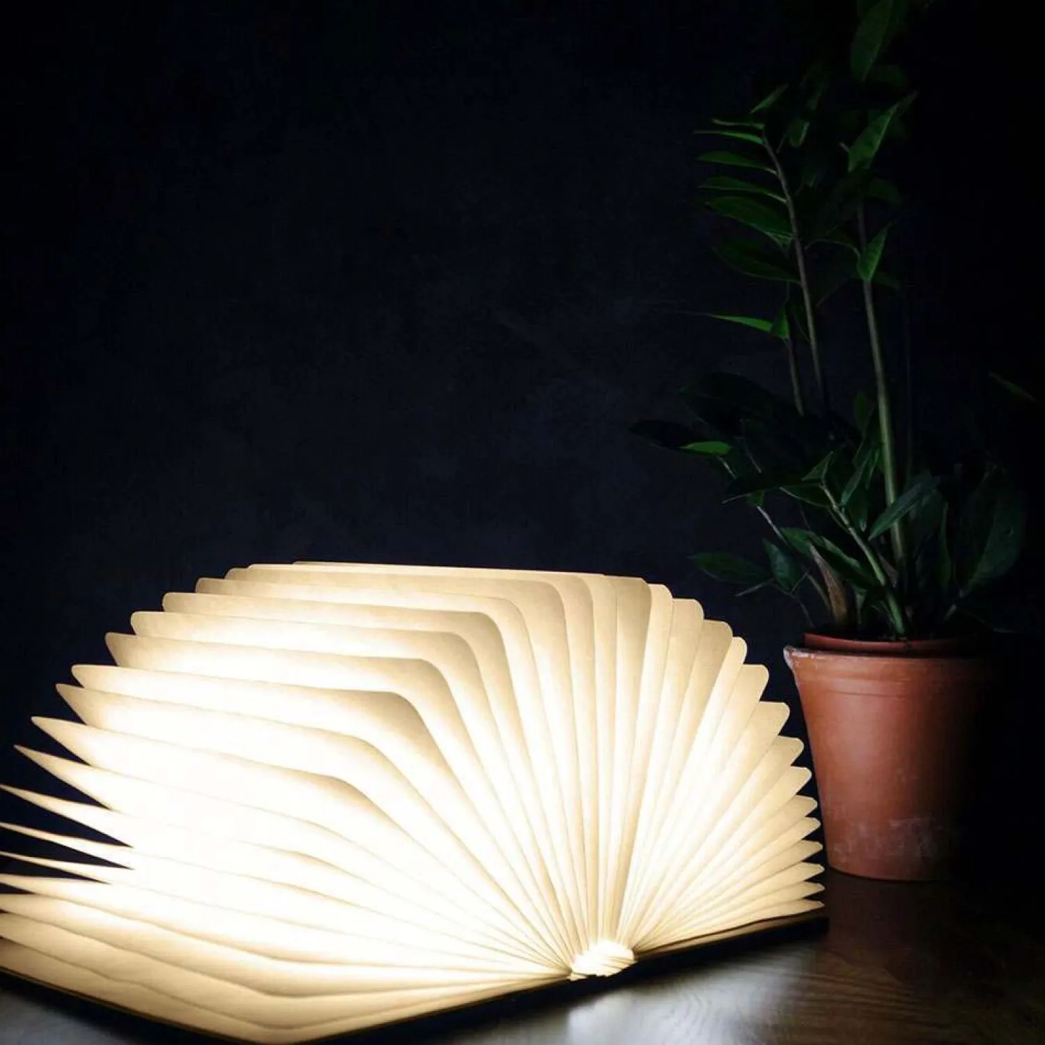 Graham & Green Walnut Smart Book Lights
