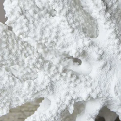 Graham & Green White Ceramic Coral