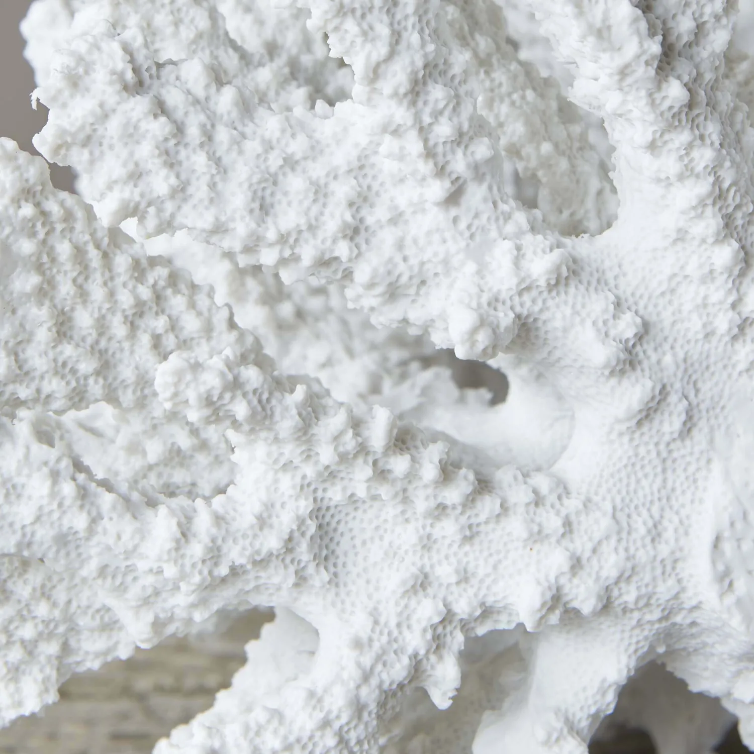 Graham & Green White Ceramic Coral