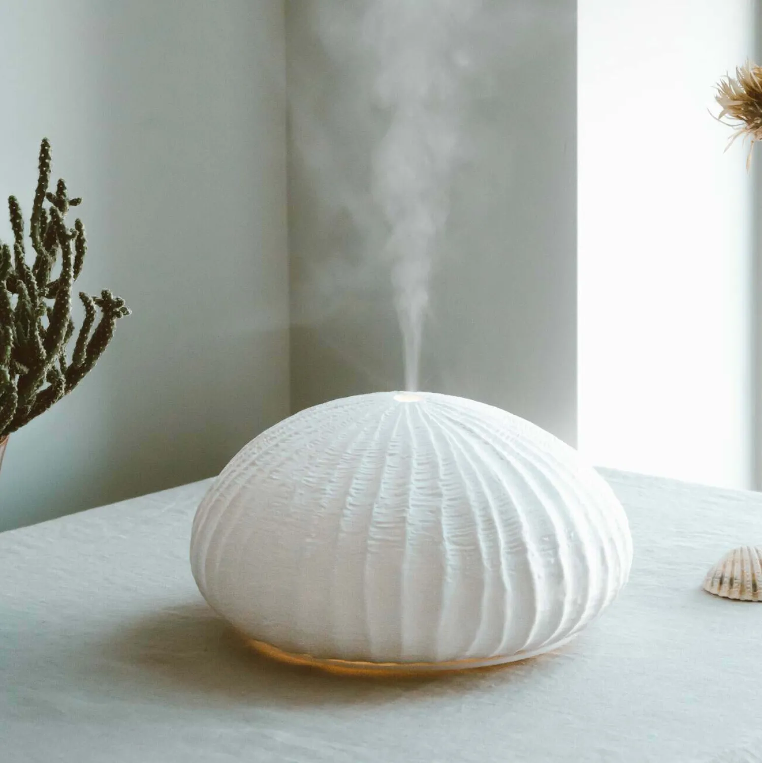 Graham & Green White Coral Reef Diffuser