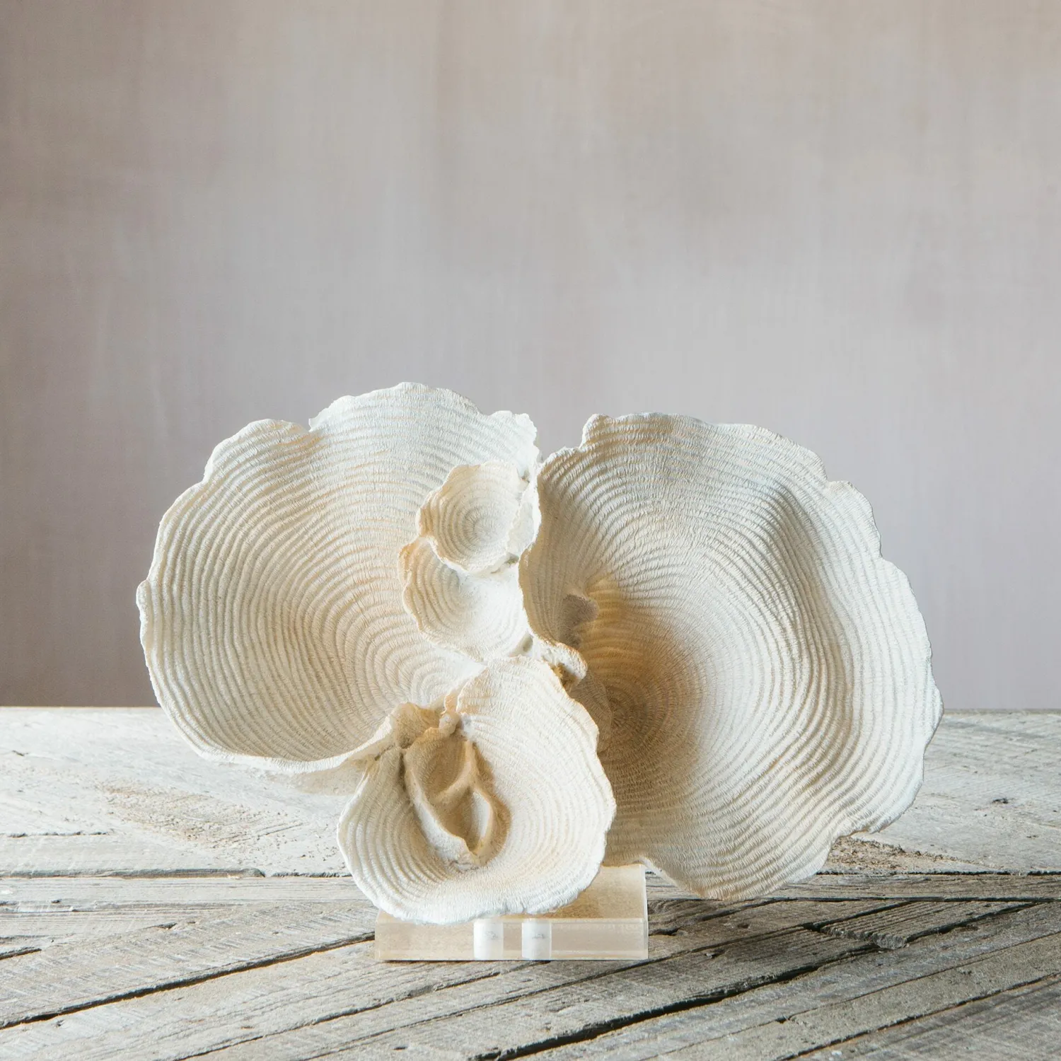 Graham & Green White Faux Coral on Stand